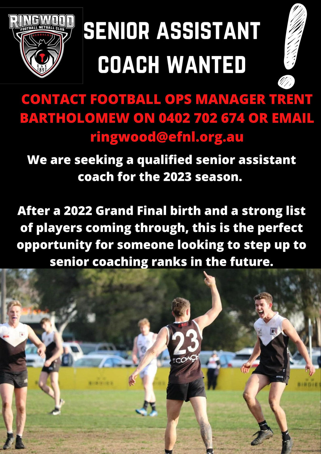 Senior Assistant Coach Wanted